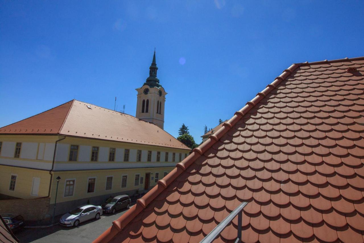 Villa Magdalena Kutná Hora Extérieur photo